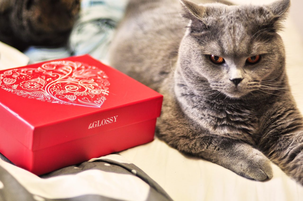 Walentynkowy GlossyBox (?!)