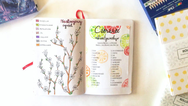 Bullet journal czerwiec