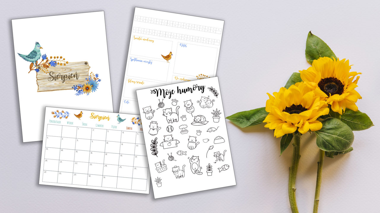 Sierpniowy pakiet startowy. Wklejki do bullet journal sierpniowy pakiet startowy bullet journal