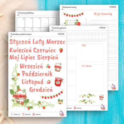 Zestaw wklejek do planowania - truskawkowy (cztery arkusze)