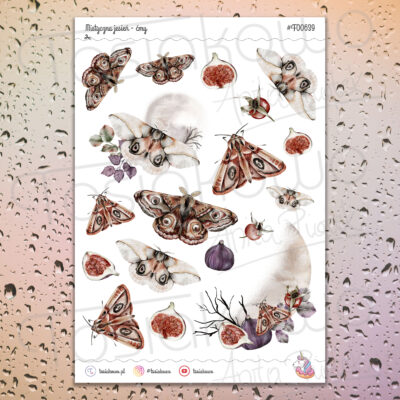 Mistyczna jesień - ćmy