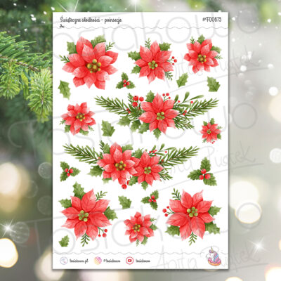 Świąteczne słodkości - poinsecje