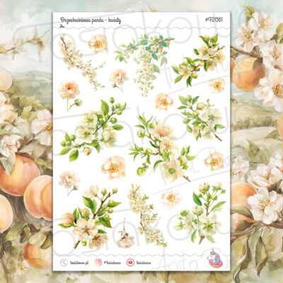 Brzoskwiniowa panda - kwiaty