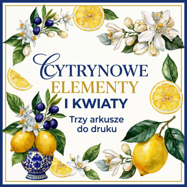 Projekt bez nazwy (23)